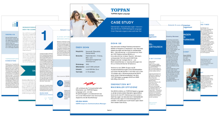 DEHN Case Study Previewbild