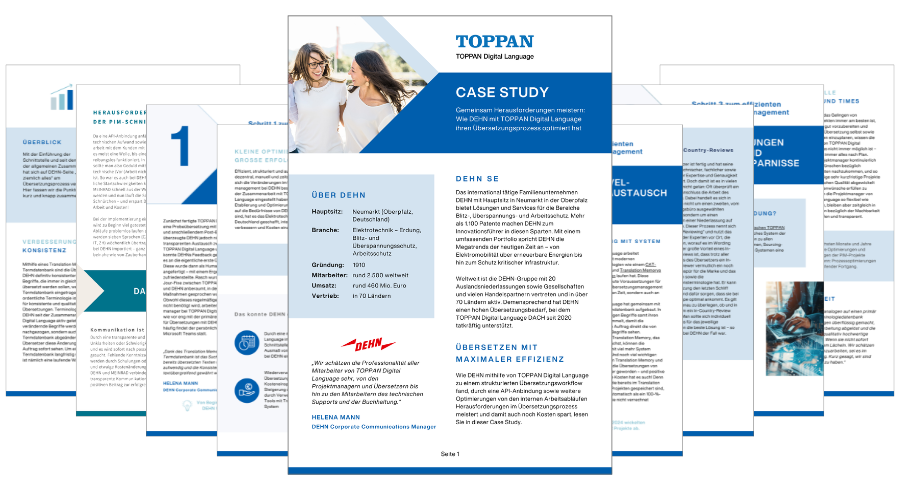 DEHN Case Study Previewbild